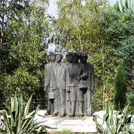 Flower Πανσιόν Castelo de Paiva