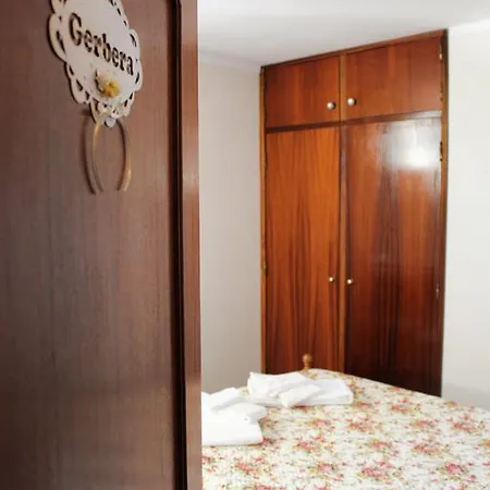 Flower Guest house 3*