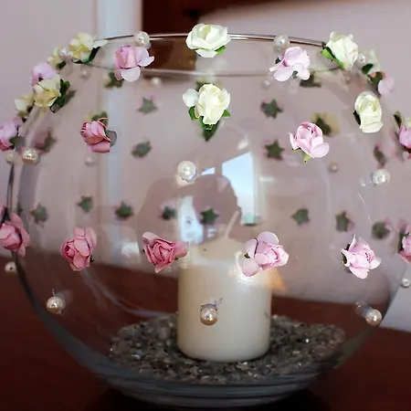 Flower Guest house Castelo de Paiva