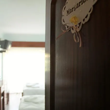Flower Guest house Castelo de Paiva