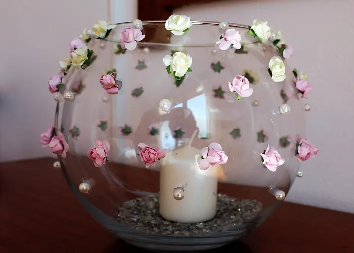 Flower Gasthuis Castelo de Paiva