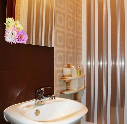 Flower Castelo de Paiva